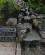 Stark im Garten