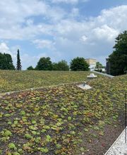 BDS Bedachungssysteme GmbH Bild 7