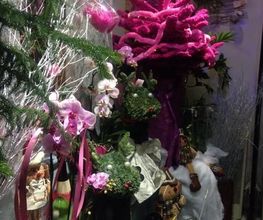 Miss Vanda image 6