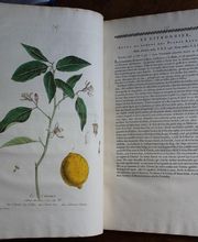 LIBRAIRIE BERTRAN image 13