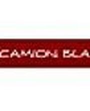 Vidanges Le Camion Blanc image 3