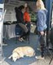 IP-Horsepower Immo Peltzer Bild 2