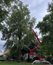 Corberon Environnement SARL image 13