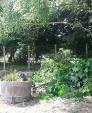 Ecole primaire privée Notre Dame du Sacré Coeur image 1