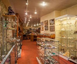 Espace Collections image 3