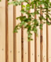 Hayoz A. Holzbau AG Bild 1