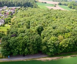 FriedWald Ohetal Bild 8