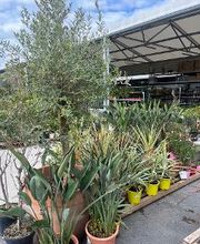 Bricomarché Chauny image 1