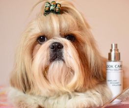 Au Look Canin image 15