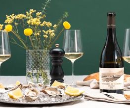 Groinen Wine GmbH Bild 1