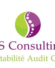 DS Consulting image 3