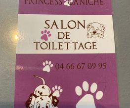 PRINCESS CANICHE image 2