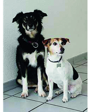 Lipper Erdmute Dr. und Lindgens Jasmin Bild 1