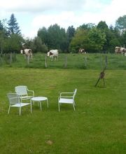 Gite des Bergeronettes image 7