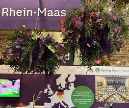 Blumen Hermes - Blumenladen und Eventfloristik in Tönisvorst, Düsseldorf und Umgebung Bild 13