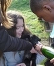 La Chaumière Aux Poneys image 4