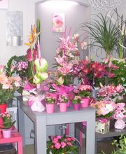 Le Coin Fleuri image 2