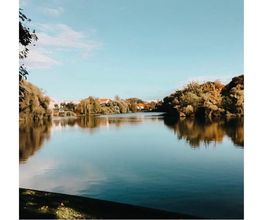Orankesee-Terrassen Bild 6