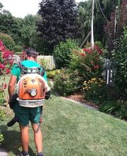 Gatti e Ticozzi Giardini Sagl Bild 1