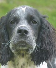 Bochard Cédric image 4