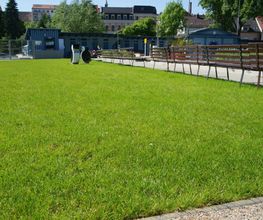 Rollrasen im Stadtbad Radeberg