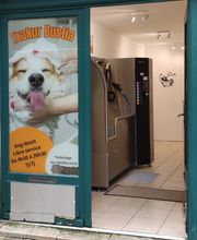 Txakur Bustia image 2