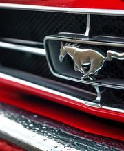 Reul & Keller oHG Bild 9