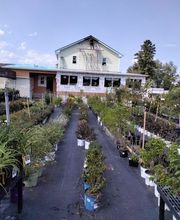 Nicole's Greenhouse & Florist image 14