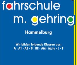 Fahrschule M. Gehring Bild 1