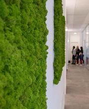 RE/MAX King immagine 6