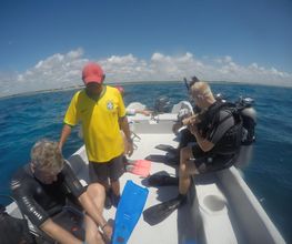 Flying Fish Tulum imagen 4