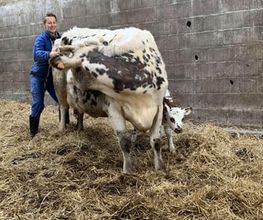 Luana EMINIC HUGO - L'ostéo animaux Bild 6