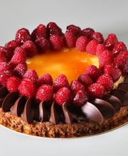 Fournier Aurélien image 2