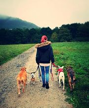 Gassi-Service Annimi Bild 3