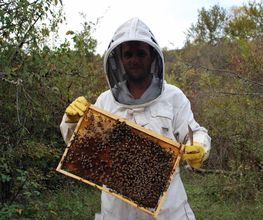 L'Abeille des Sources image 1