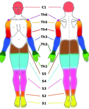 Naturheilpraxis  Oberhofer Bild 1