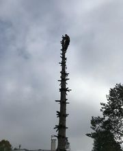 M.B.Elagage image 17