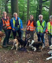 RolfsRudel Hundeschule / Rolf Matar Bild 2