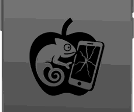 iPhone Reparatur Kiel Bild 2