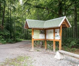 FriedWald Bad Berka Bild 4
