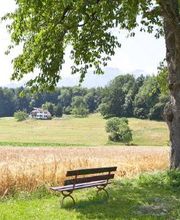 Betagten
Betagten- und Pflegeheim Niesenblick AG
