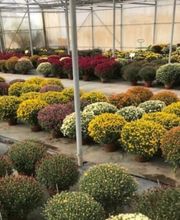 Les Serres Du Canal image 3