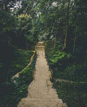 Mindsetcoach - Nicole Sandri Bild 4