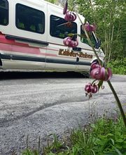 Kander Reisen, Bus für 18 Personen,