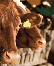 LVM Versicherung Frank Becker - Versicherungsagentur Bild 2