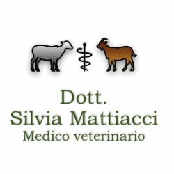 Mattiacci Dott. Ssa Silvia - Medico Veterinario logo