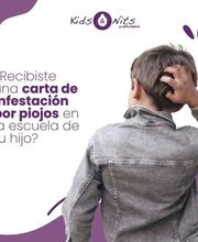 311472609-1-2Pomy7zmpe1778757082373.jpeg