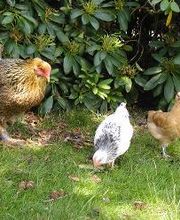 Priv. Alten- und Pflegeheim "Stockelsdorf" Betriebs GmbH Bild 2