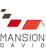Mansion David image 12