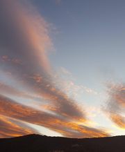 Espace Vert en Cévenne SARL image 10